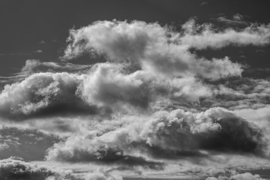 Sky Whales